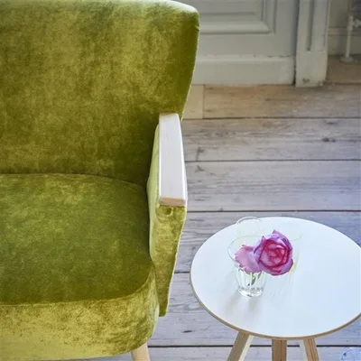 PAVIA - BISCUIT thumbnail 5