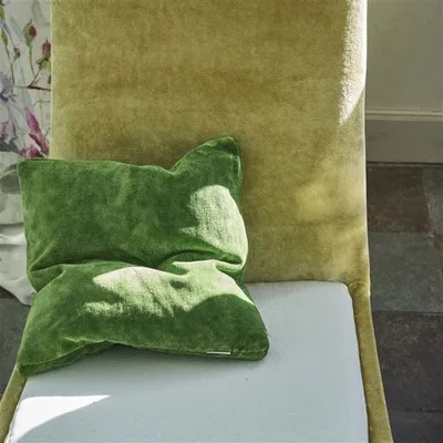 PAVIA - FIR thumbnail 6