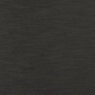 CHAVIERE NOIR — Chaviere swatch, view 1