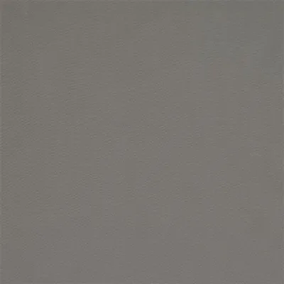 CALOZZO MOLESKIN — Chennai swatch, view 1