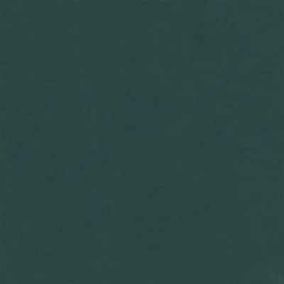 CALOZZO STRETTO IVY — Chennai swatch, view 1