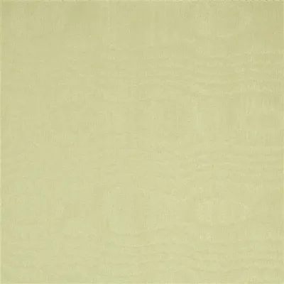 CHINAZ - BUTTERMILK thumbnail 2