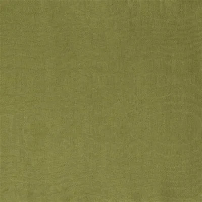 CHINAZ - PINE swatch