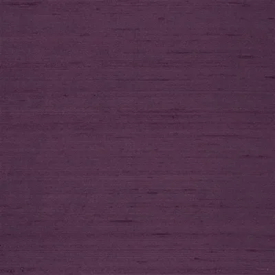 CHINON - AUBERGINE thumbnail 2