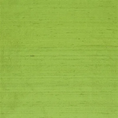 CHINON - FERN thumbnail 2