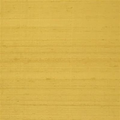 CHINON - HONEY thumbnail 2