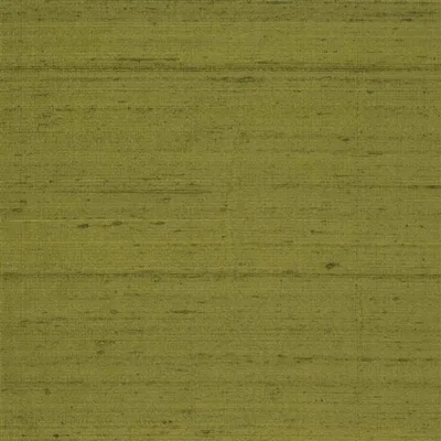 CHINON - MOSS — Chinon Ii swatch, view 1