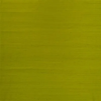 CHINON - MUSHROOM thumbnail 4