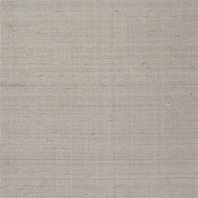 CHINON - MUSHROOM swatch