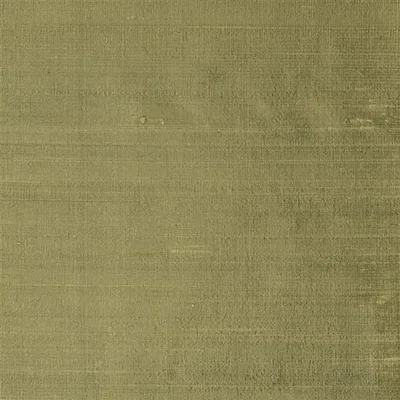 CHINON - OTTER — Chinon Ii swatch, view 1