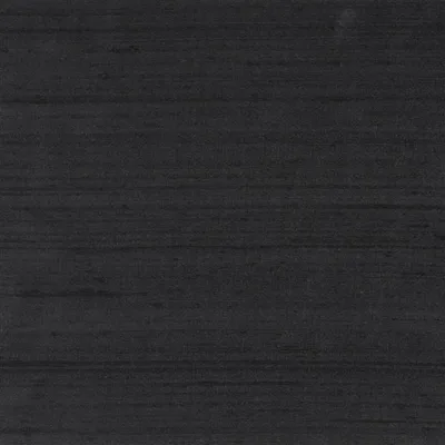 CHINON - RAVEN — Chinon Ii swatch, view 1