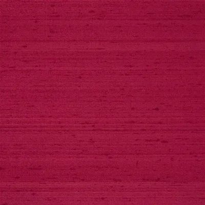 CHINON - ROUGE thumbnail 2