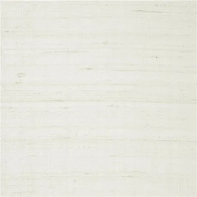 CHINON - TITANIUM swatch