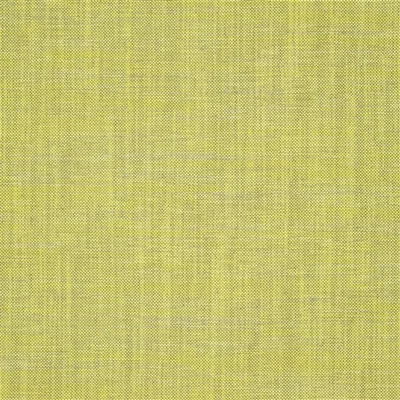 COSIA - LIME thumbnail 2