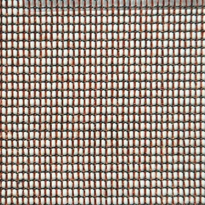 MONZA - WALNUT thumbnail 2