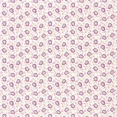 CAMOMILE - FUCHSIA thumbnail 2