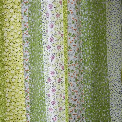 FORGET ME NOT - CROCUS thumbnail 5