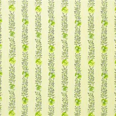 PANSY STRIPE - APPLE thumbnail 2