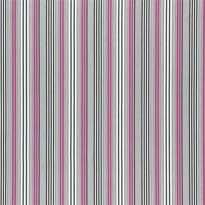 PANSY STRIPE - PEONY thumbnail 6