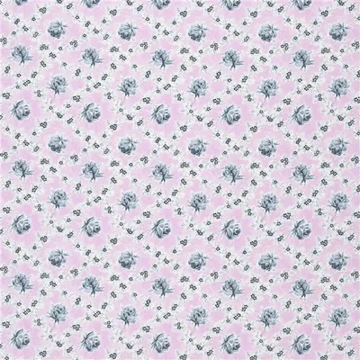 WILD ROSE - ORCHARD thumbnail 2