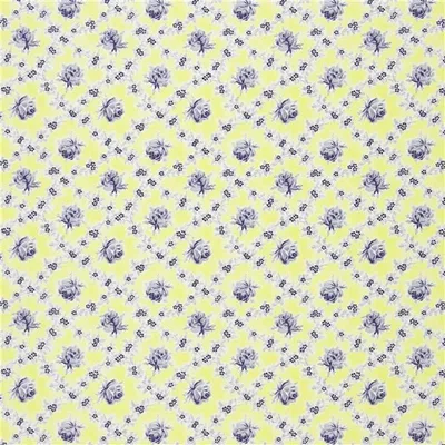 WILD ROSE - PRIMROSE swatch