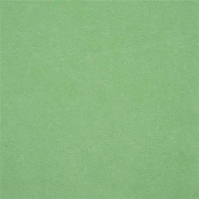 CANVAS - ABSINTHE thumbnail 2