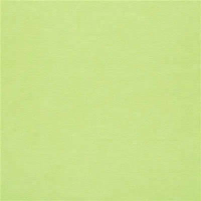 CANVAS - LIME thumbnail 2