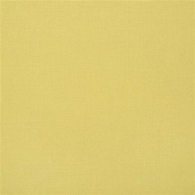 CONWAY - LEMON thumbnail 2