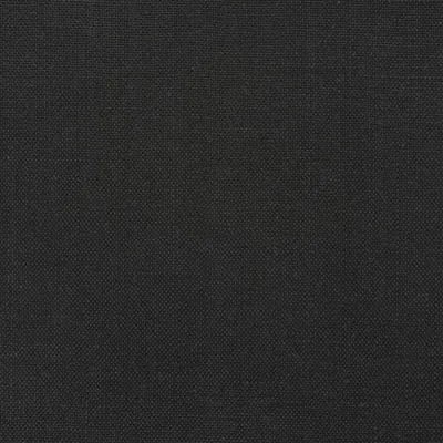 CONWAY - NOIR — Couture Rose swatch, view 1