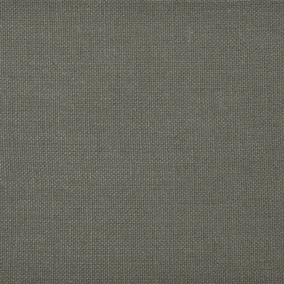 CONWAY - PEWTER — Couture Rose swatch, view 1