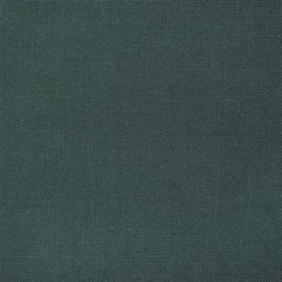 CONWAY - VIRIDIUM swatch