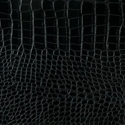 LISSARD - NOIR swatch