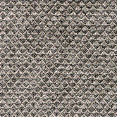 PORTLAND DOVE swatch