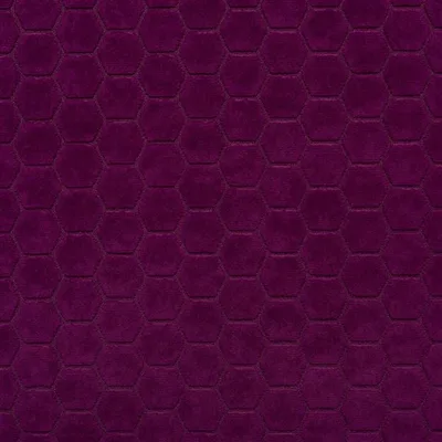 FLORENTINE CURRANT thumbnail 6