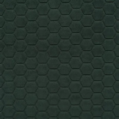 FLORENTINE FIR thumbnail 2