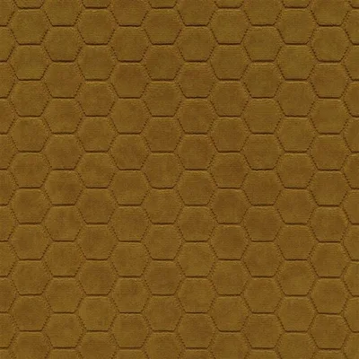 FLORENTINE OCHRE thumbnail 2