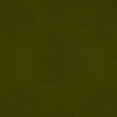 VELLUTO MOSS thumbnail 2