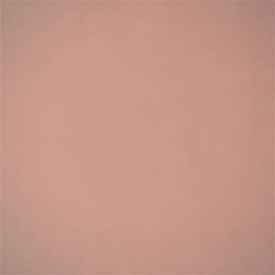 VELLUTO PALE ROSE — Florentine swatch, view 1