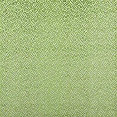 DUFRENE GRASS swatch