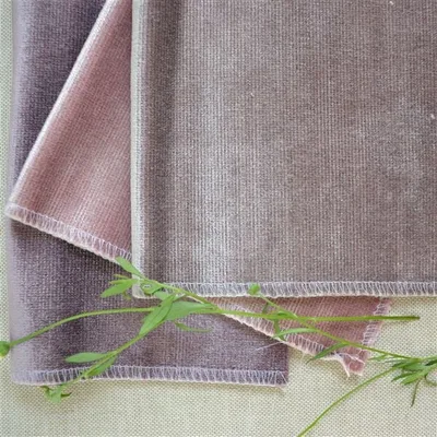 GLENVILLE DOVE thumbnail 3