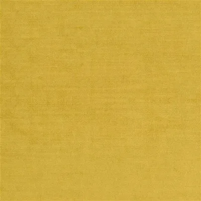 GLENVILLE PRIMROSE — Glenville Ii swatch, view 1