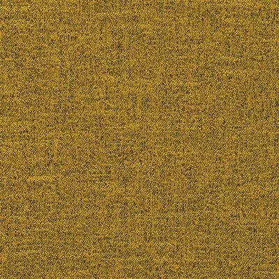 ERISKA AMBER thumbnail 2