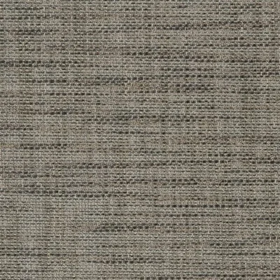 IONA - BIRCH swatch