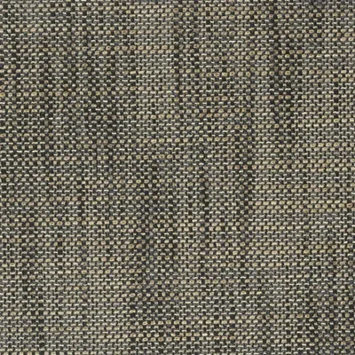 IONA - EBONY thumbnail 2