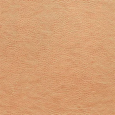ATACAMA - COPPER — Kalahari swatch, view 1