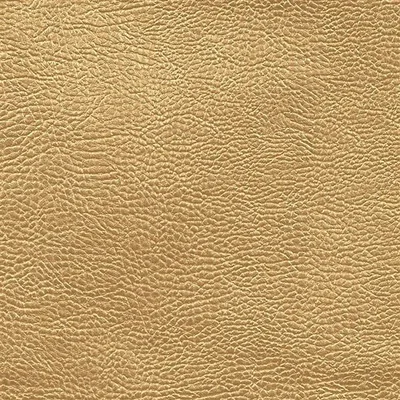 ATACAMA - GOLD swatch