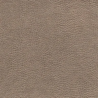 ATACAMA - HAVANA swatch