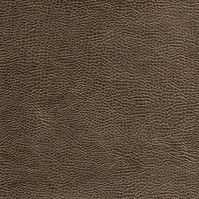 ATACAMA - MOCHA swatch
