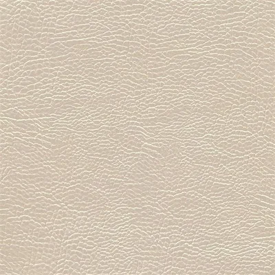ATACAMA - NOUGAT swatch