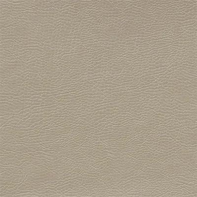 MOJAVE - BISCUIT — Kalahari swatch, view 1